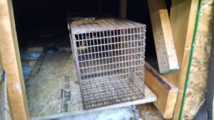 12440367_1118350768205342_5200729977222533154_o